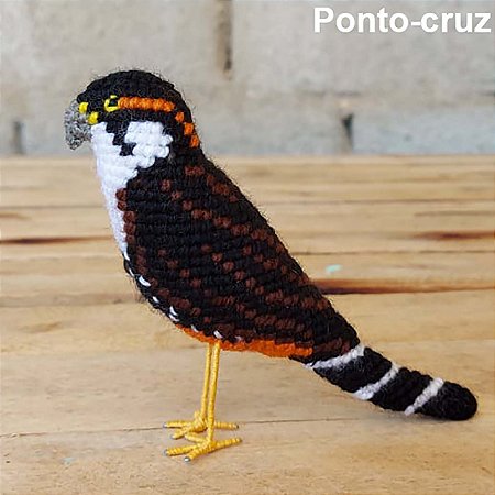 Falcão-de-coleira - miniatura Pássaros Caparaó ponto-cruz