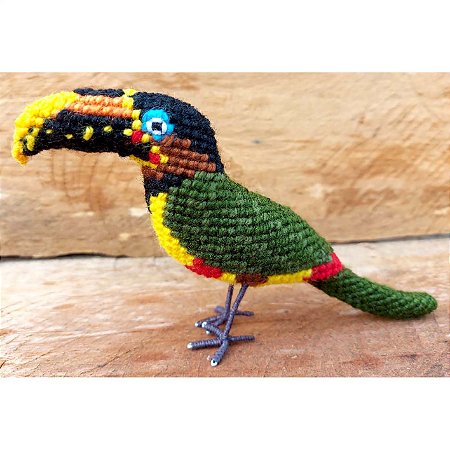 Araçari-castanho - miniatura Pássaros Caparaó ponto-cruz