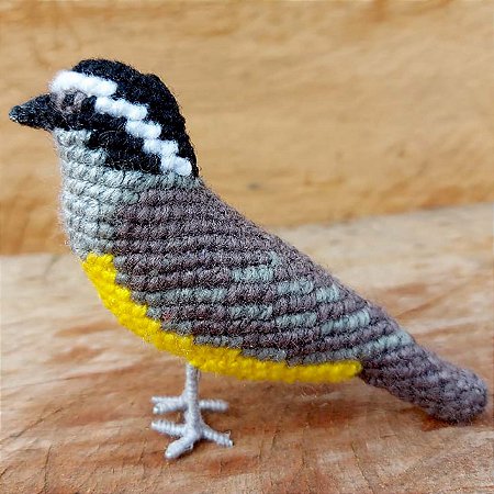 Cambacica - miniatura Pássaros Caparaó ponto-cruz