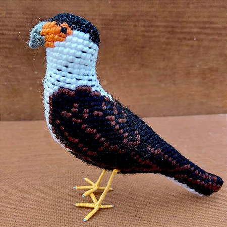 Carcará - miniatura Pássaros Caparaó ponto-cruz