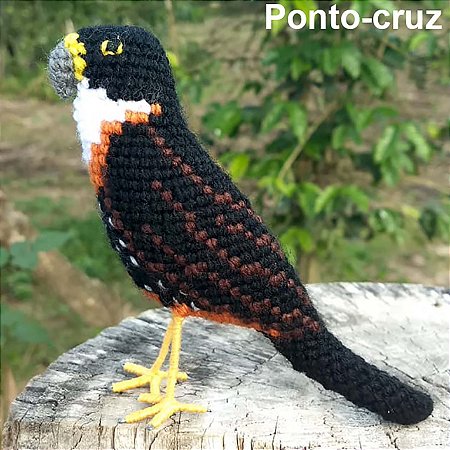 Falcão-de-peito-laranja - miniatura Pássaros Caparaó ponto-cruz