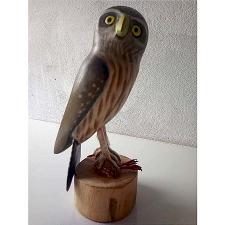Coruja-buraqueira 1 - Miniatura madeira Valdeir José