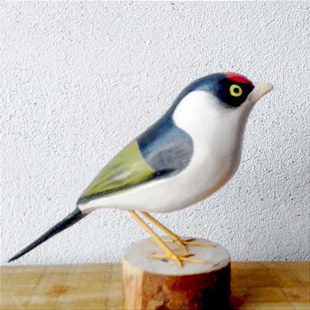 Tangarazinho - Miniatura madeira Valdeir José