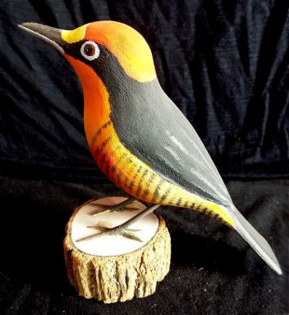 Benedito-de-testa-amarela - Miniatura em madeira Valdeir José