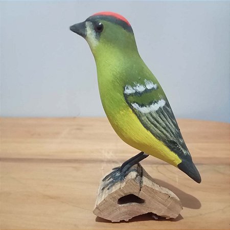 Tietê-de-coroa - Miniatura em madeira Valdeir José