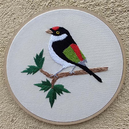 Tangarazinho - Bordado a Mão em Bastidor - Pássaros Caparaó