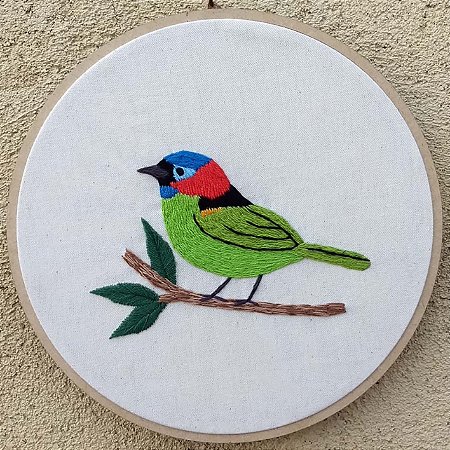 Saíra-militar - Bordado a Mão em Bastidor - Pássaros Caparaó