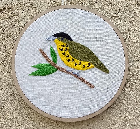 Chibante - Bordado a Mão em Bastidor - Pássaros Caparaó