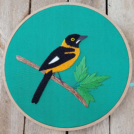 Corrupião 2 - Bordado a Mão em Bastidor - Pássaros Caparaó