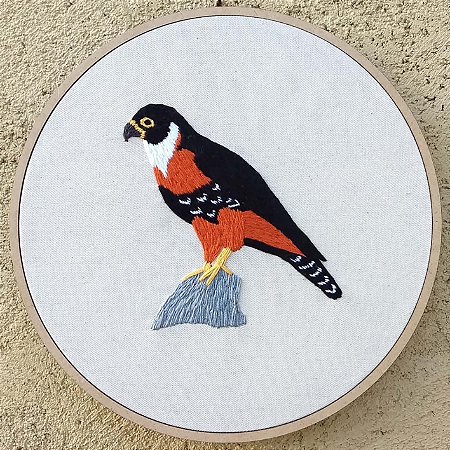 Falcão-de-peito-laranja - Bordado a Mão em Bastidor - Pássaros Caparaó