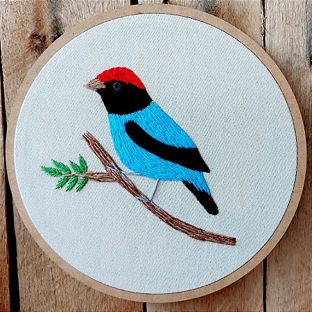 Tangará 1 - Bordado a Mão em Bastidor - Pássaros Caparaó