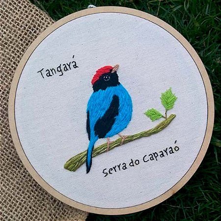 Tangará 2 - Bordado a Mão em Bastidor - Pássaros Caparaó
