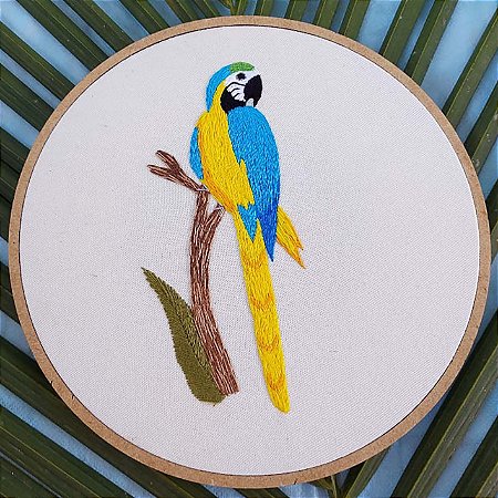Arara-canindé - Bordado a Mão em Bastidor - Pássaros Caparaó