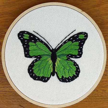 Borboleta-verde - Bordado a Mão em Bastidor - Pássaros Caparaó