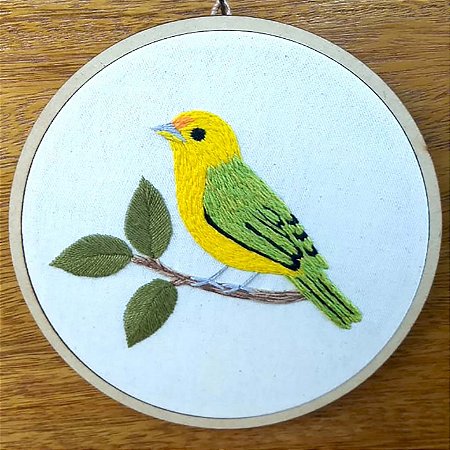 Canário-da-terra - Bordado a Mão em Bastidor - Pássaros Caparaó