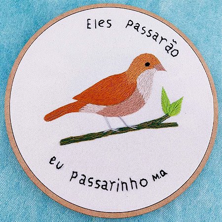 João-de-barro - Bordado a Mão em Bastidor - Pássaros Caparaó