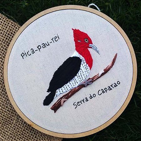 Pica-pau-rei - Bordado a Mão em Bastidor - Pássaros Caparaó