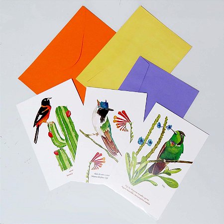 Kit cartões postais Aves da Chapada Diamantina
