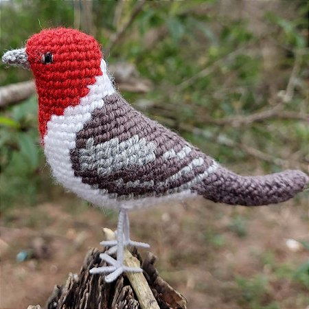Cardeal-do-nordeste - miniatura Pássaros Caparaó ponto-cruz