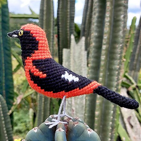 João-Pinto - miniatura Pássaros Caparaó ponto-cruz