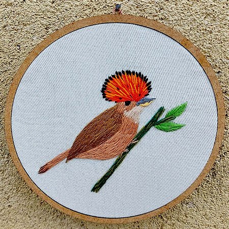 Maria-leque-do-sudeste - Bordado a Mão em Bastidor - Pássaros Caparaó
