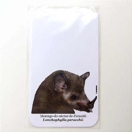 Morcego-do-néctar-de-peracchi - marcador de página magnetizado - Cris Gardim