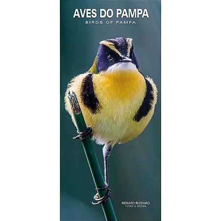 Guia Aves do Pampa / Birds of Pampa