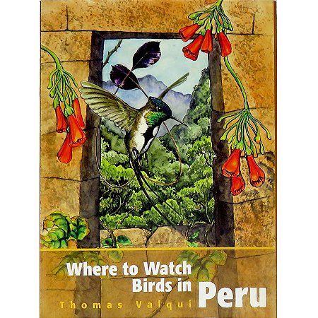 Where to watch birds in Peru - USADO