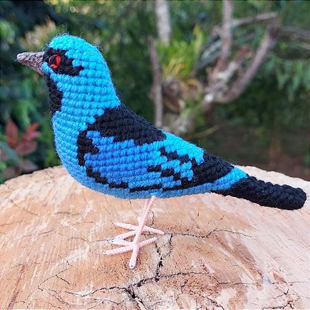 Saí-azul - miniatura Pássaros Caparaó ponto-cruz