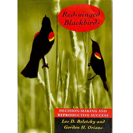 Red-winged Blackbirds, decision-making and reproductive success - SEMINOVO