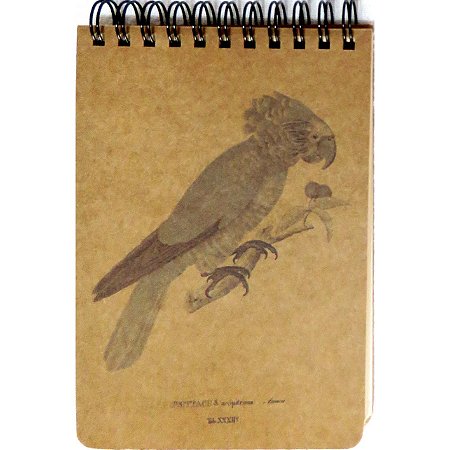 Anacã caderneta de campo - 100p - coleção arte naturalista