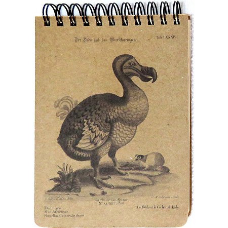 Dodô caderneta de campo - 150p - coleção arte naturalista