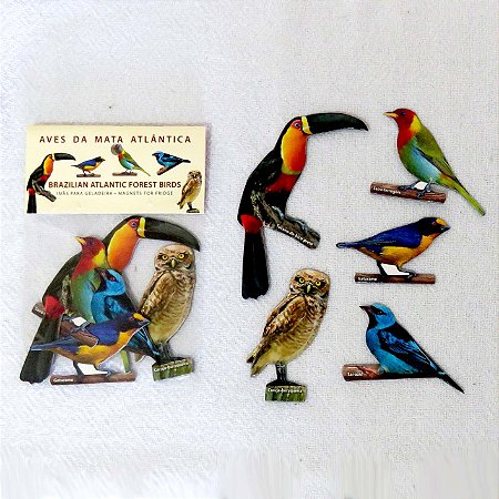 Coleção Aves da Mata Atlântica 1 - ímãs decorativos