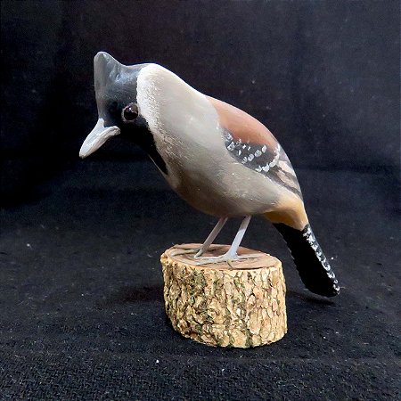 Choca-do-nordeste - Miniatura madeira Valdeir José