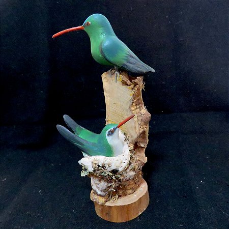 Besourinho-de-bico-vermelho casal ninho - Miniatura madeira Valdeir José