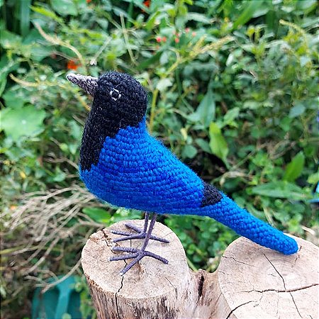 Gralha-azul - miniatura Pássaros Caparaó ponto-cruz