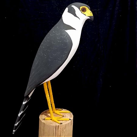 Falcão-relógio - Miniatura madeira Valdeir José