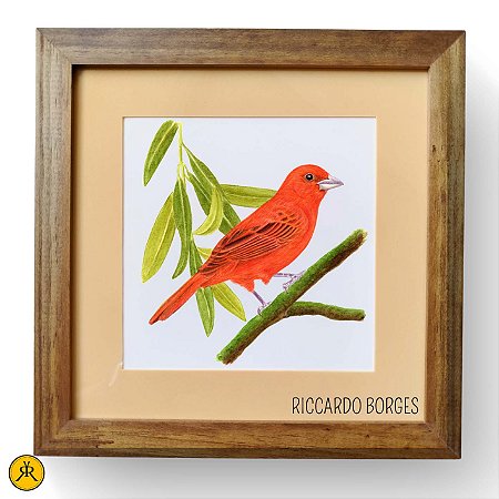 Sanhaço-de-fogo - Aquarela sobre papel - Riccardo Borges