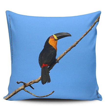 Tucano-de-bico-preto 2 - capa para almofada Ana Gadini