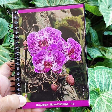 Orquídea caderneta capa dura - 160p - Ana Gadini