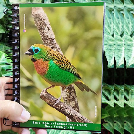 Saíra-lagarta caderneta capa dura - 160p - Ana Gadini