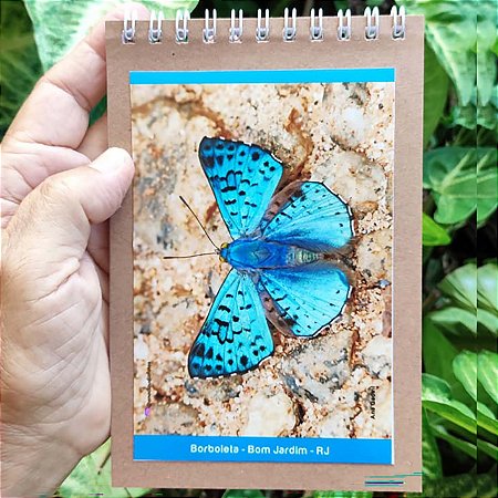 Borboleta-azul caderneta P - 100p - Ana Gadini