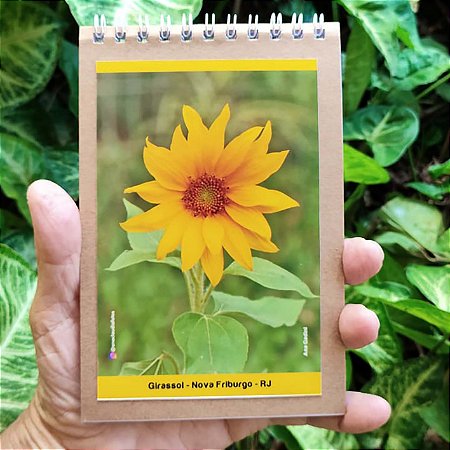 Girassol caderneta P - 100p - Ana Gadini