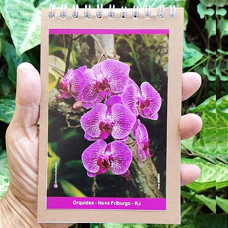 Orquídea caderneta P - 100p - Ana Gadini