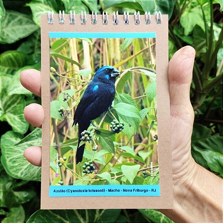 Azulão caderneta P - 100p - Ana Gadini