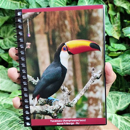 Tucanuçu caderneta capa dura - 1600p - Ana Gadini
