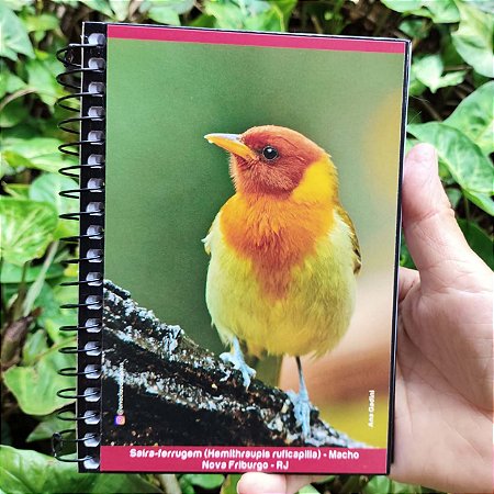 Saíra-ferrugem caderneta capa dura - 160p - Ana Gadini