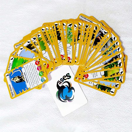 Ases 4 - jogo de cartas com aves do Pampa