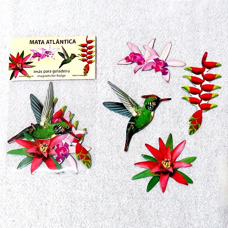 Coleção Aves da Mata Atlântica 4 - ímãs decorativos
