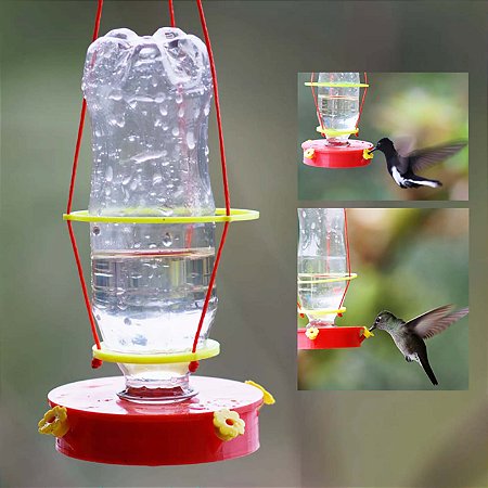 Kit Bebedouro para beija-flor Amigos das Aves